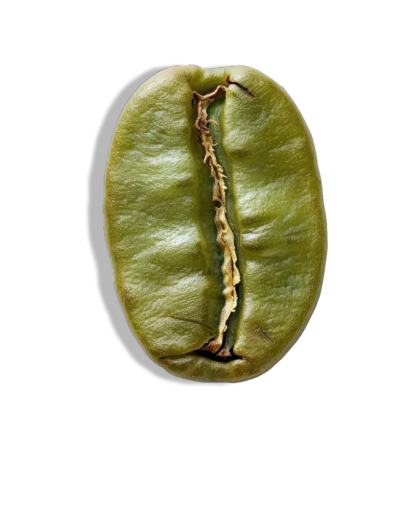 <div class="metafield-rich_text_field"><h4>Natural Caffeine</h4></div>