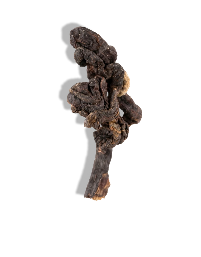 <div class="metafield-rich_text_field"><h4>GABA</h4><p><br />
(Gamma Aminobutyric Acid)</p></div>